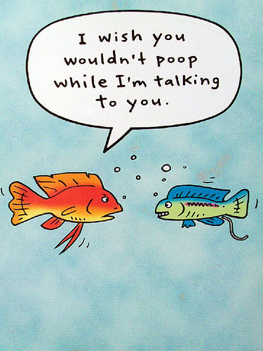 fish poop